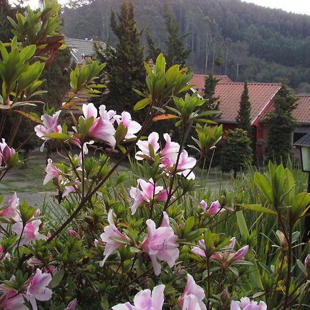 Pousada Flores Da Serra มงชิแวร์จิ ภายนอก รูปภาพ